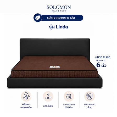 ที่นอน 6 ฟุต SOLOMON รุ่น LINDA สีน้ำตาล หนา 6 นิ้ว_0